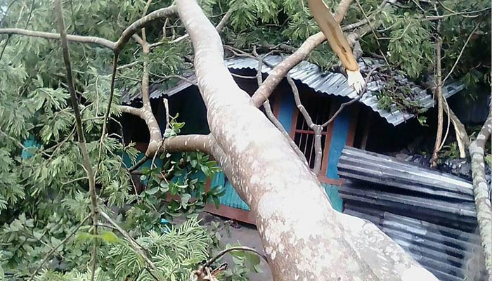 'Bulbul' takes 10 lives, damages 5,000 houses